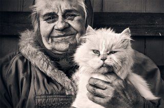 Сельская кошачья