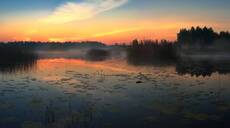 заря