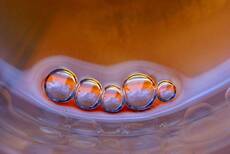 wine bubbles