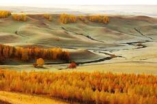 Осеннее