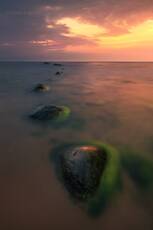 Sentinels
