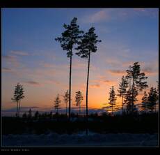 Decline of winter