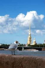 Питер
