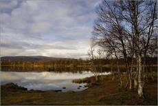 Поздняя осень на Prestvannet