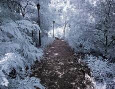 Infrared