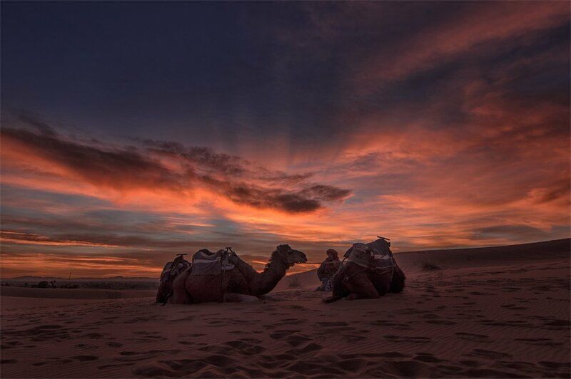 Sunset in the desert Sahara