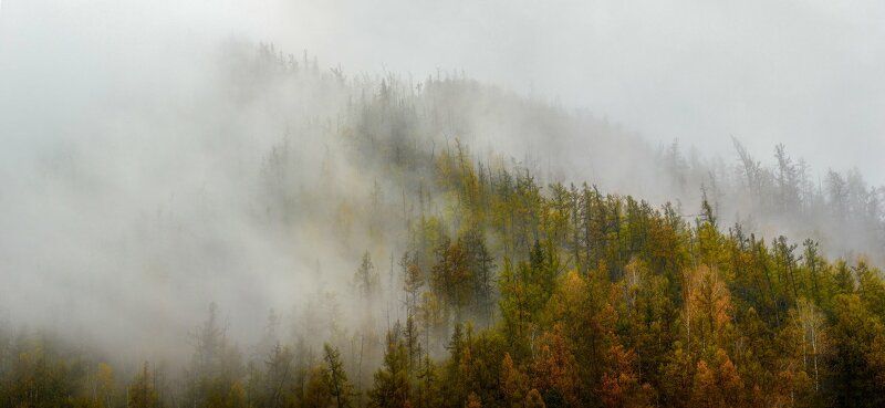 Алтай. Осенние туманы