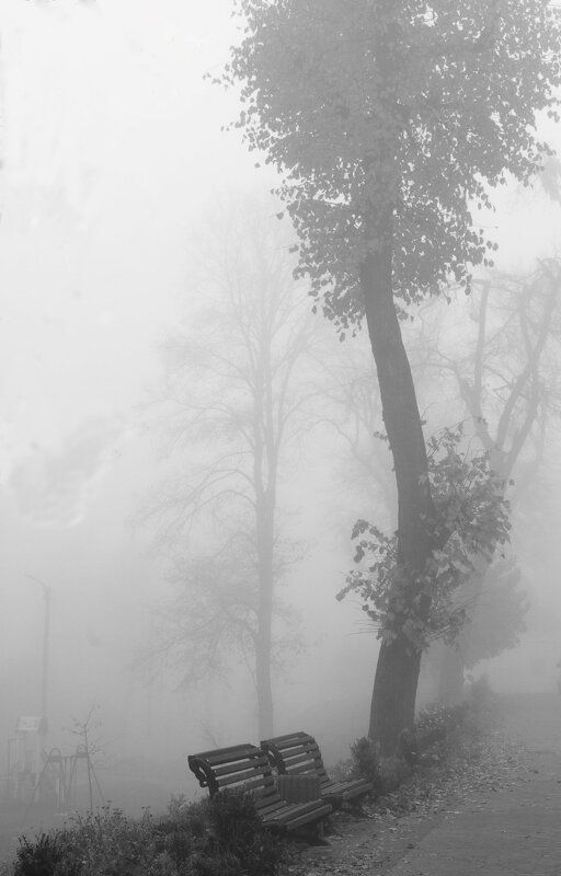 Тишина в тумане
