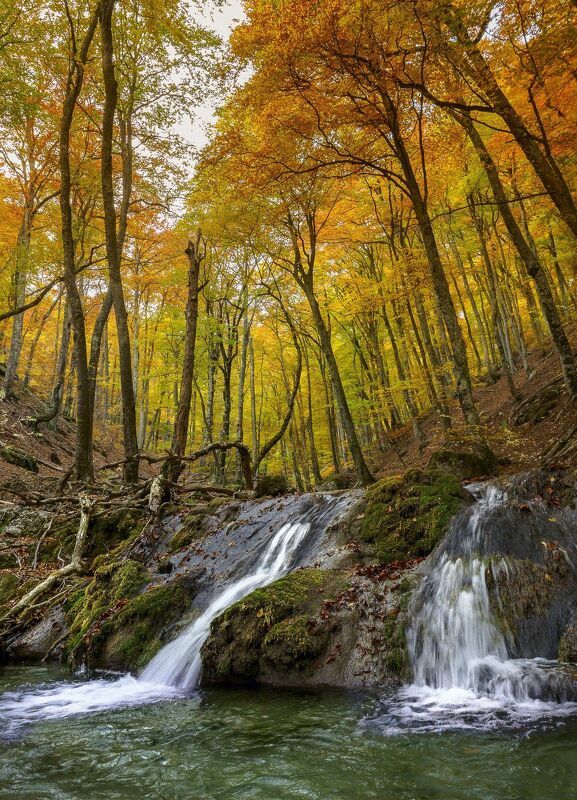Осенние мечты Крымского леса