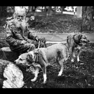 О собаках и Толстом