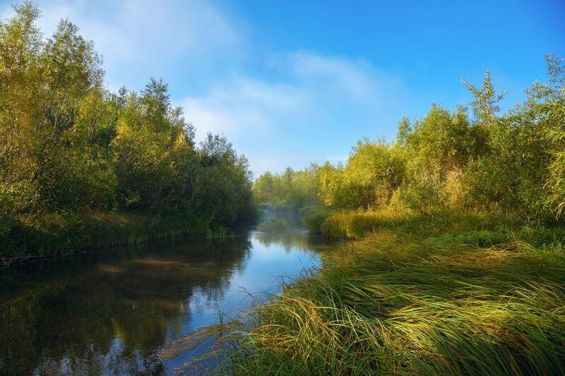 Бархатное утро на речке Терехтюлька