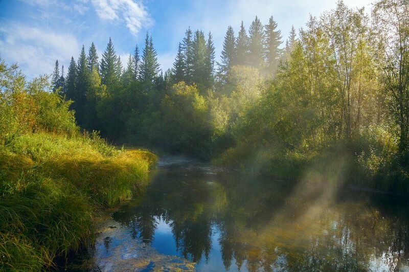 Утренний туман на речке