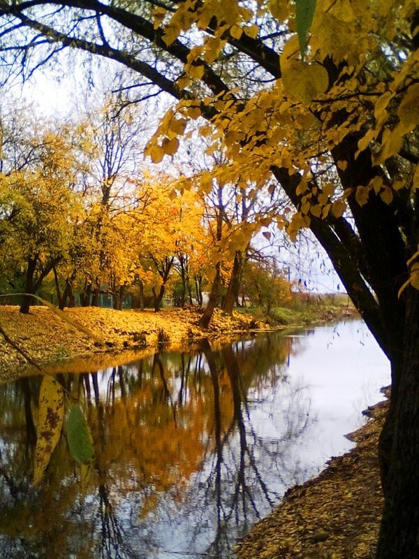 Осенние мотивы у реки.