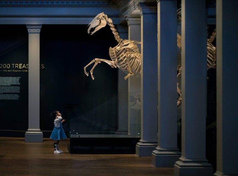 Night at the Museum:summon of the horse