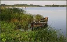 Не спи рыбак ... 2