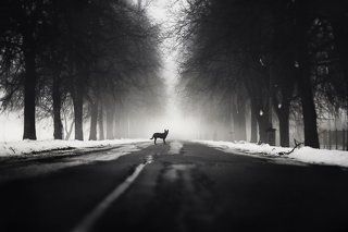 Follow me