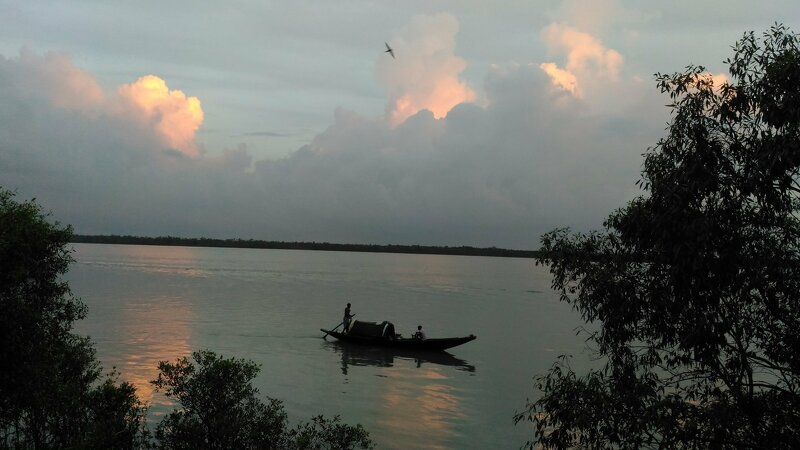 Sundarbans on the go