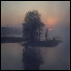 Ежик в тумане