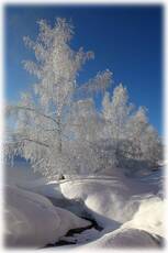 в инее