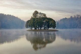 Solitude