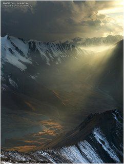 Light in the Dark