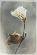 Лирическая