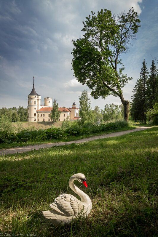 Swan in front of Bip Castle