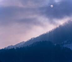 Misty