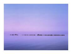 Serenity 2