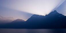 Light