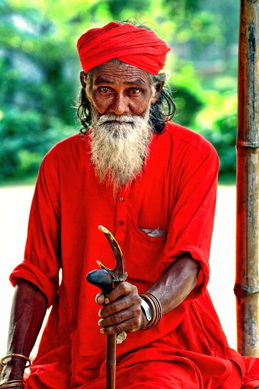 Portrait Of Hindu Sadhu