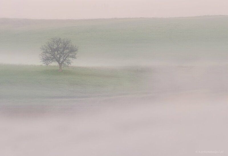 misty land ...