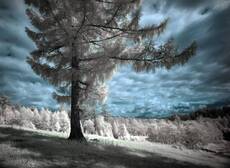 IR
