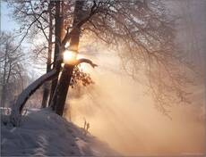 Радость утреннего солнца
