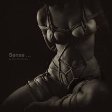 Sence...