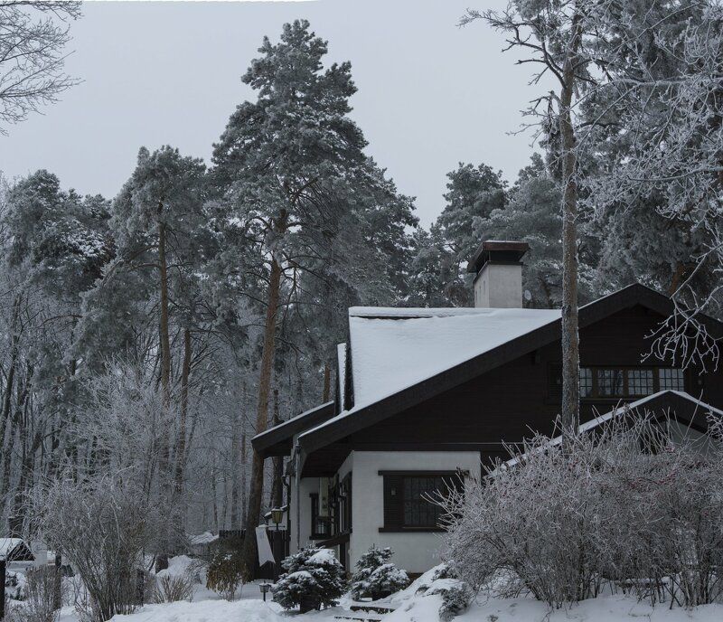A building in winter forest
