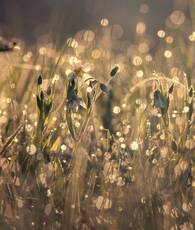 Into the light