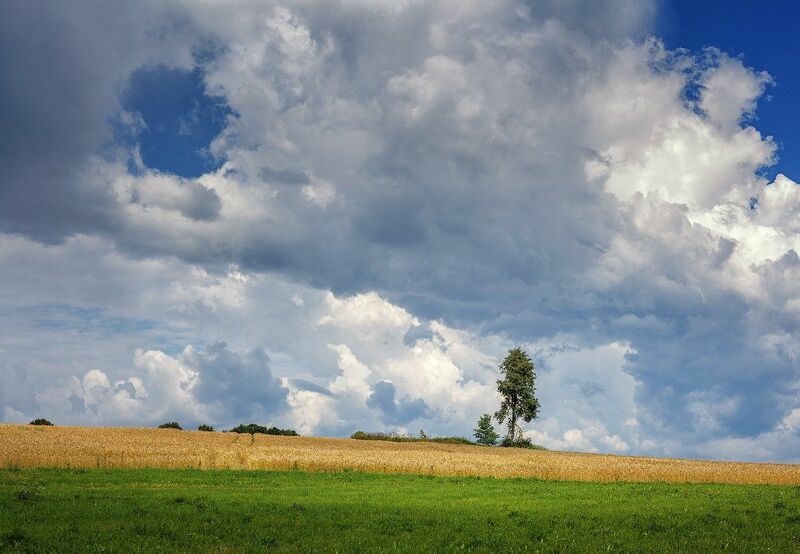 Полдень, поле, облака