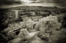infrared hungary