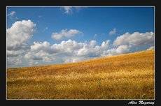 Український прапор