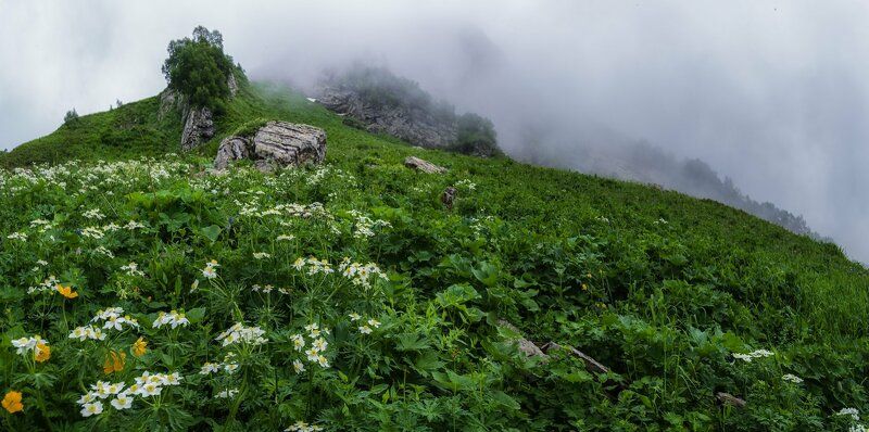 В туманах гор Кавказа