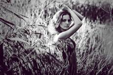 reed