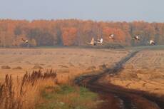 Краски осени