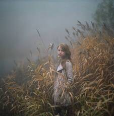 ... in a fog