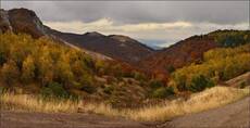 Охра крымской осени