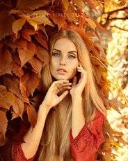 сolors of autumn...