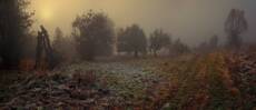 Mist
