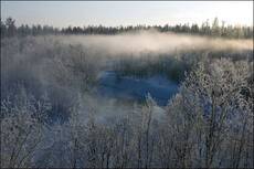 Зимняя прогулка