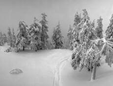 ФРИРАЙДЕРОВСКИЙ МОТИВ...