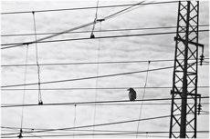Sic transit...
